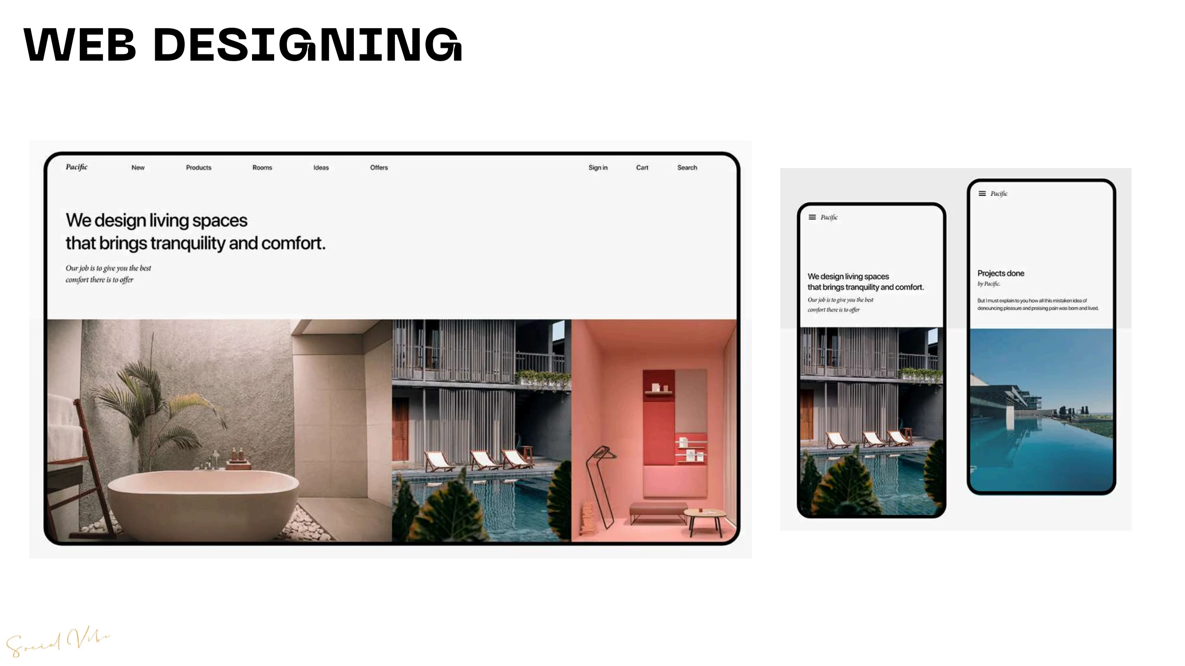 Responsive Social Vibe web design shown across desktop, tablet and mobile