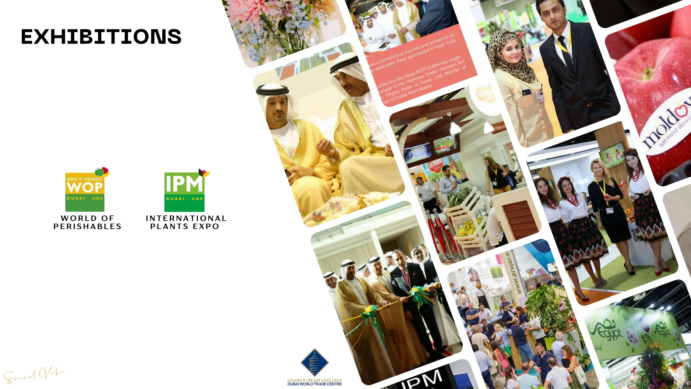 World of Perishables and International Plants Expo exhibition work in Dubai